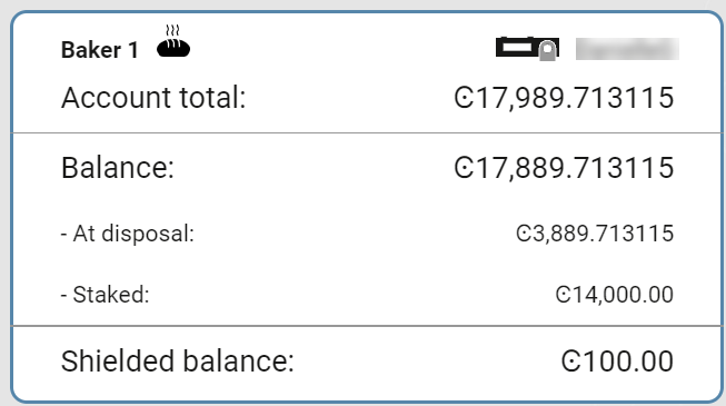 example of account card with information, validator icon, ledger icon shown