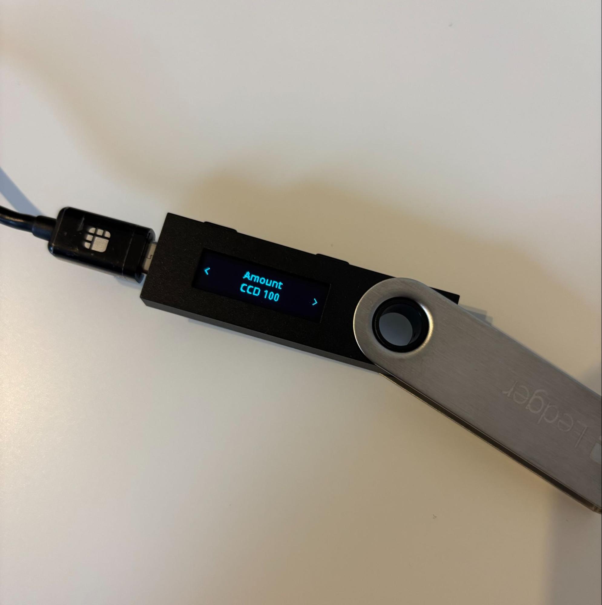 Ledger transaction review